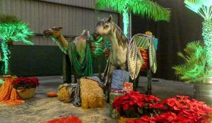 Caballo-y-camello-de-porexpan-para-la-cabalgata-de-reyes-de-Cártama