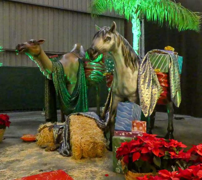 Caballo-y-camello-de-porexpan-para-la-cabalgata-de-reyes-de-Cártama Caballo-y-camello-de-porexpan-para-la-cabalgata-de-reyes-de-Cártama