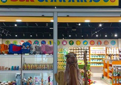 Camellos para la tienda Superskunk de Canarias