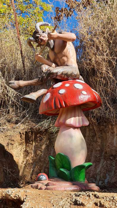 Fauno del del bosque encantado de Parauta Fauno del del bosque encantado de Parauta