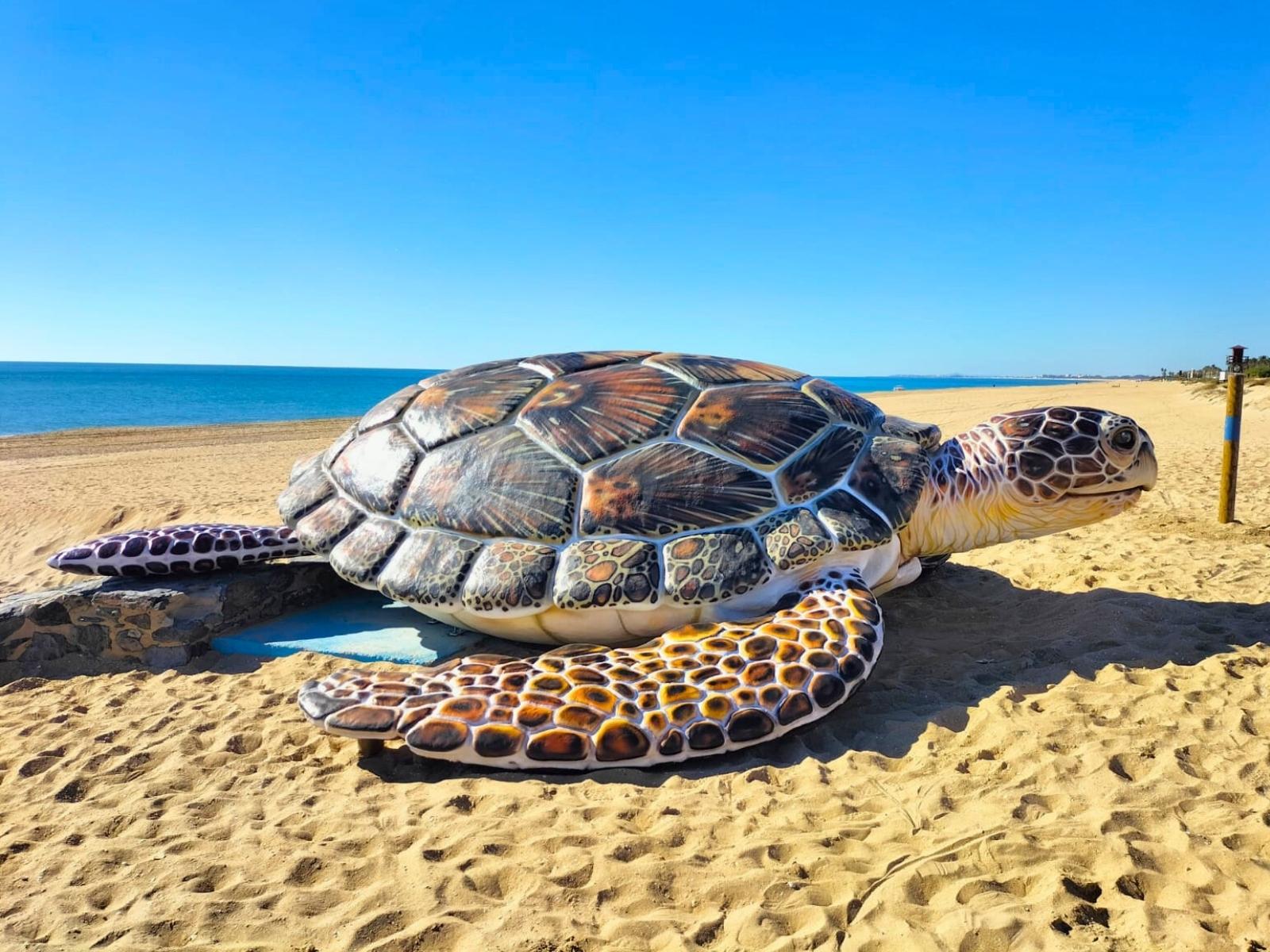 Tortuga gigante Playa de Islantilla Tortuga gigante Playa de Islantilla