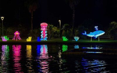 Escena figuras de seda y luz del mar